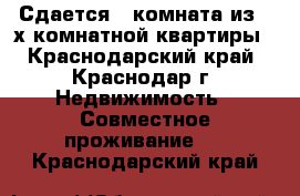 Сдается 1 комната из 2-х комнатной квартиры - Краснодарский край, Краснодар г. Недвижимость » Совместное проживание   . Краснодарский край